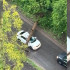 В Воронеже дерево смяло ехавшую по дороге машину в ЖК «Грин Парк»