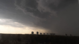 Прогноз погоды в Воронеже на 2.07.2025