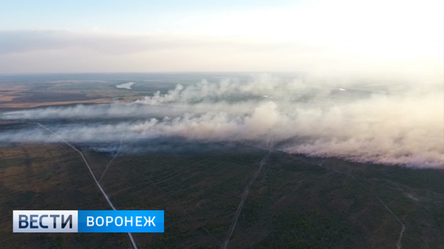 Под Воронежем загорелся военный полигон с боеприпасами