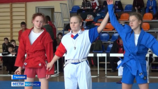 В воронежском райцентре прошел всероссийский турнир по самбо