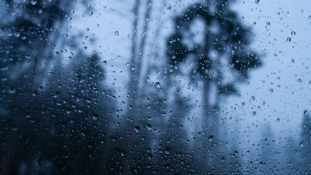 Жёлтый уровень опасности из-за гроз и тумана введут в Воронежской области
