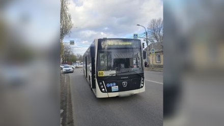 В Воронеже автобус №80 сбил 17-летнего подростка на зебре