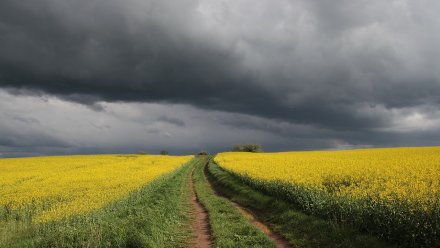 Воронежцев предупредили о возможной грозе