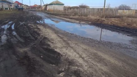 Глава СК проконтролирует решение проблемы с непроходимой дорогой в воронежском селе