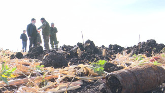 Воронежские поисковики начали раскопки на месте сражений операции «Малый Сатурн»