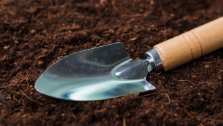 Воронежцам предложили обновить садовые инструменты