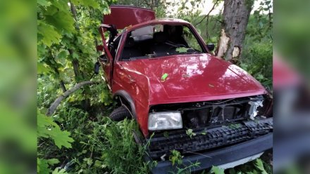 В Воронежской области иномарка врезалась в деревья: пострадали трое детей