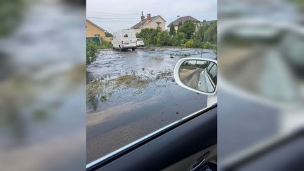 В Воронеже многодетной матери могут выплатить компенсацию за затопленный отходами дом