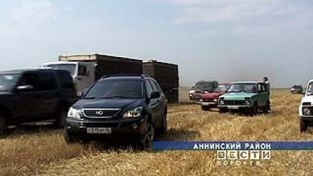В Аннинском районе развернулась битва за урожай