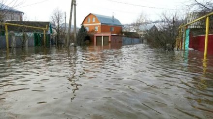Спасатели назвали самые затопленные населённые пункты Воронежской области