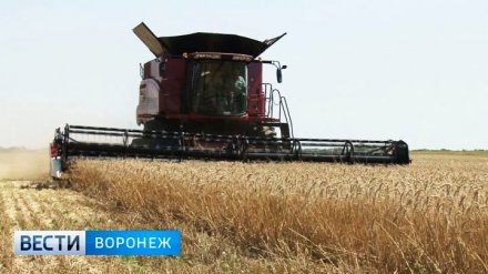 Воронежской области увеличили объем субсидий на создание объектов АПК