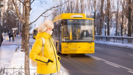 Перевозчику из Острогожска пригрозили реальным сроком за ложные данные о пробеге автобусов