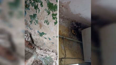 Жильцам разрушающегося общежития в Воронеже пообещали капремонт в 2026 году