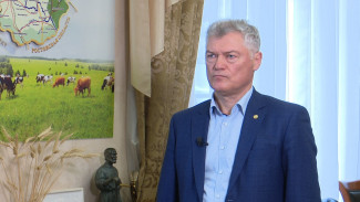 Дожди во вред. Какой урожай в 2023 году получат воронежские аграрии