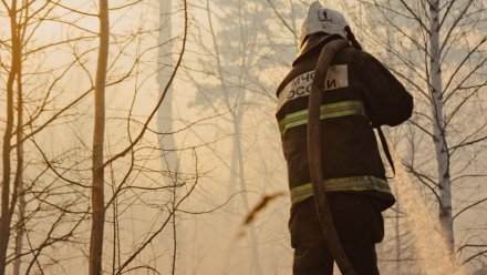 Воронежские следователи заинтересовались двумя ландшафтными пожарами