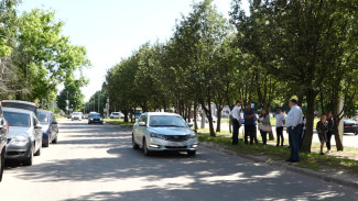 В Воронеже при строительстве дублёра МП один ряд рябин сохранят 
