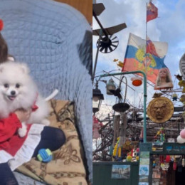 Дом из сказки и щенок в подарок. Какие добрые истории запомнились воронежцам в 2025-м