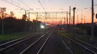 В РЖД заговорили о запуске «Сапсанов» через Воронеж