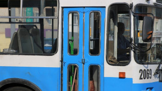 В Воронеже до конца года остановили два троллейбусных маршрута