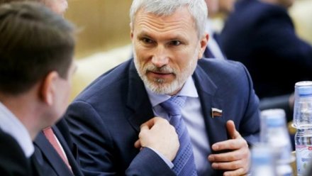 Воронежский депутат Госдумы отметил низкую покупательную способность россиян