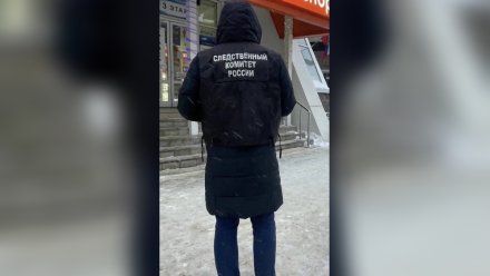 СК возбудил уголовное дело после падения сосулек на ребёнка-инвалида в Воронеже