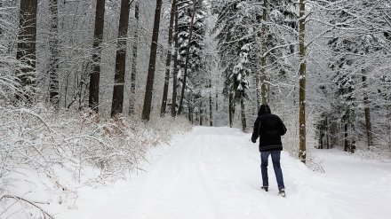 Синоптики рассказали, где больше всего выпало снега в Воронежской области