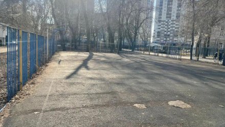 Спортивную площадку в городском сквере обновят после обращения воронежца к Павлу Дурову