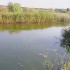 В Воронежской области позеленела одна из самых чистых рек в России