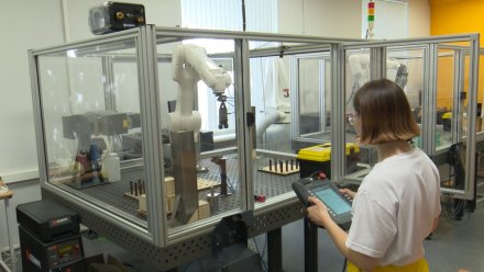 В Воронежской области создадут ещё два кластера среднего профессионального образования