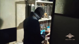 В Воронеже задержали участника международной мошеннической схемы по продаже СМС-кодов 