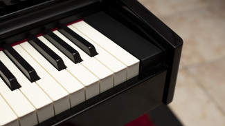 В Воронеже УК выплатила 800 тысяч за испорченный при потопе уникальный рояль