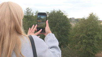 Минприроды обратится в прокуратуру из-за земляных работ возле озера Круглое в Воронеже