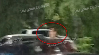 Полуголый мужчина разгромил чужие машины на парковке в Семилуках