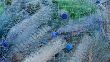 Воронежские учёные придумали новый способ переработки пластика