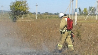 Пшеничное поле площадью 100 га загорелось в Воронежской области