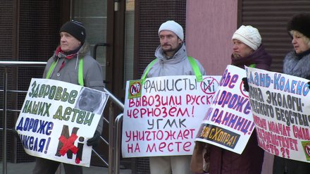 Воронежский активист предложил провести слушания о планах по добыче никеля
