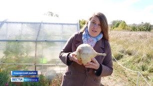 Итоги 2025 года. Воскрешение Железного  Феликса, ферма с рабами и овощи-гиганты