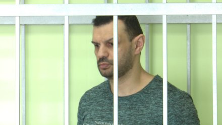 Чёрного кредитора из Воронежа Наумовского приговорили к 13 годам колонии
