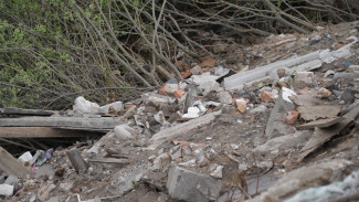 Владельца свалки в воронежском микрорайоне Придонской обязали выплатить 11 миллионов