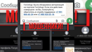 Воронежцев предупредили о фальшивых сообщениях от «Госуслуг»
