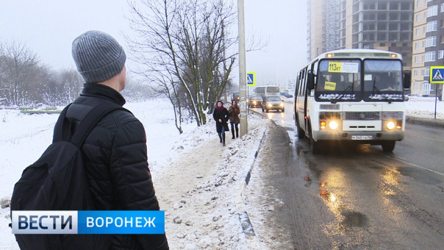 Воронежский преподаватель попросил прокуратуру защитить студентов, считающих пассажиров