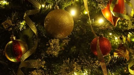 В Воронежской области 31 декабря официально объявили выходным днём