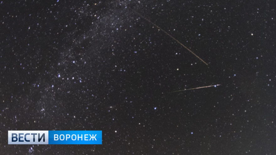 Воронежцы в августе увидят мощнейший звездопад года