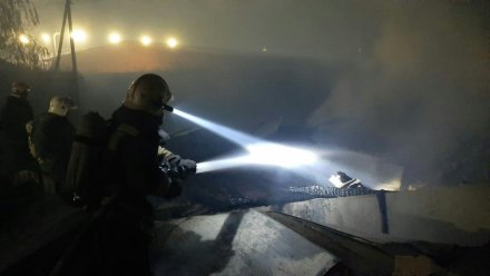 На сахарном заводе в Воронежской области произошёл пожар