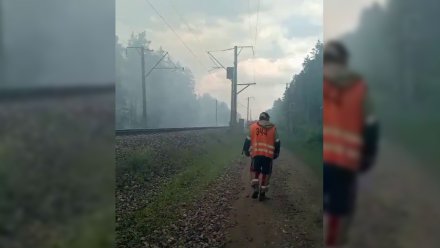 МЧС оценило риски перехода пожара в заповеднике с Липецкой области на Воронежскую
