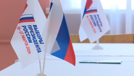 В Воронежской области началось голосование на выборах президента РФ