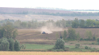 Посев озимых в Воронежской области сдвинули из-за глобальных изменений климата