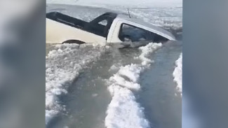 Легковушка с водителем упала в озеро под Воронежем