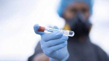 В Черноземье за сутки COVID-19 подтвердился у 375 человек