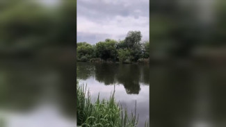 Росприроднадзор начал проверку после сообщения об откачке воды из озера Круглое в Воронеже